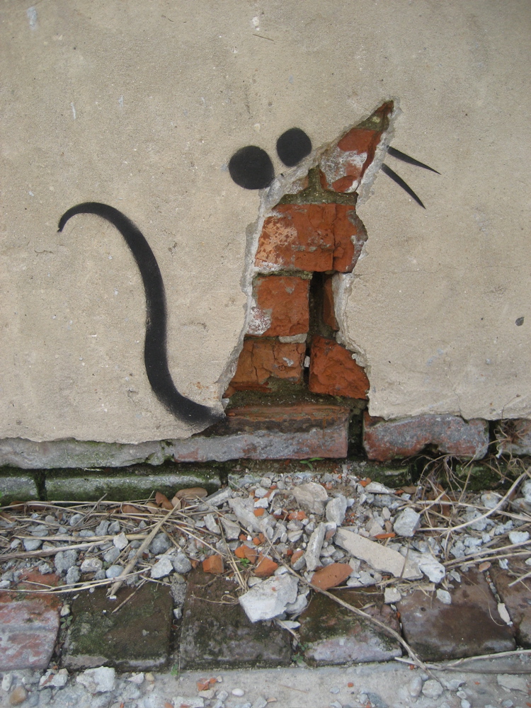 szczur glowny Banksy_Rat_Plaster_Treme